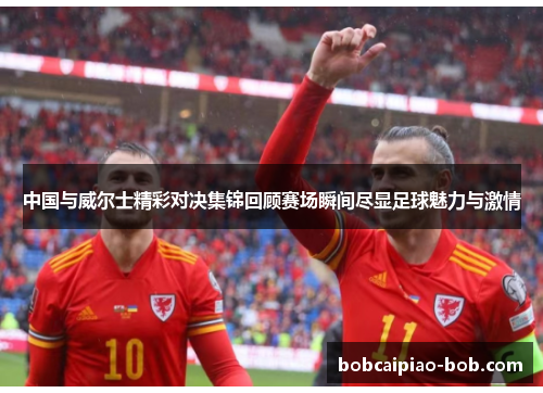 中国与威尔士精彩对决集锦回顾赛场瞬间尽显足球魅力与激情