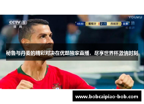 秘鲁与丹麦的精彩对决在优酷独家直播，尽享世界杯激情时刻